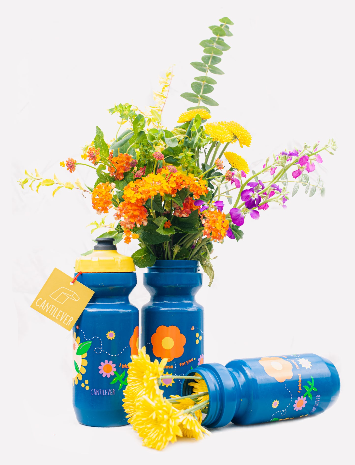Cantilever - 22 oz Bottle #7