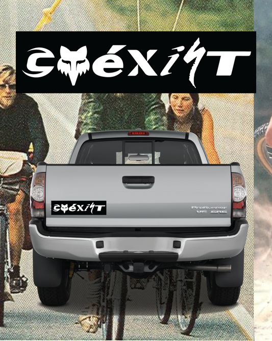 COEXIST Bumper Sticker