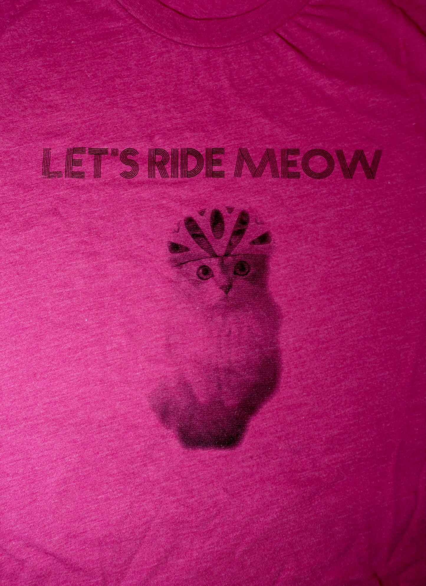 Let’s Ride Meow